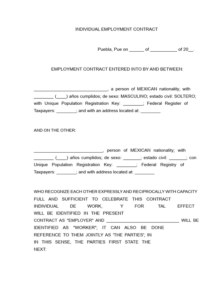 Individual Employment Contract Template | PDF | Employment | Salary