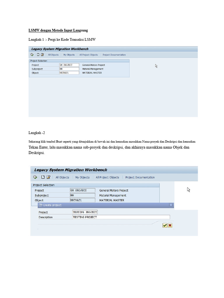 Panduan LSMW: Input Langsung Data | PDF