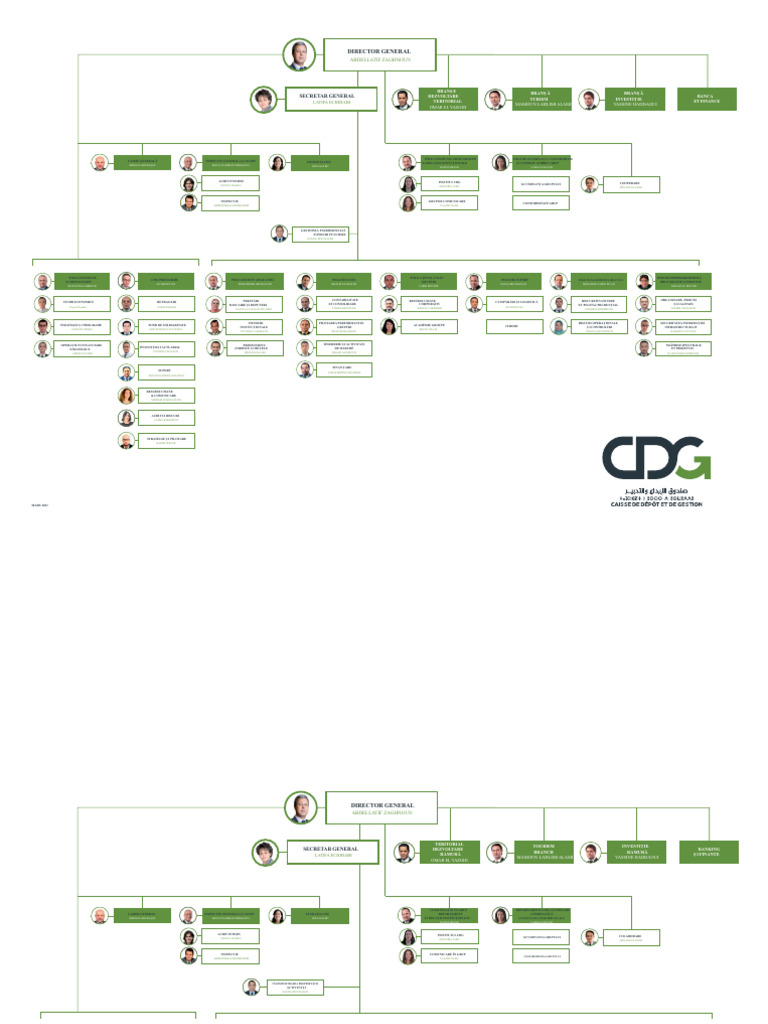 Organigrama CDG | PDF