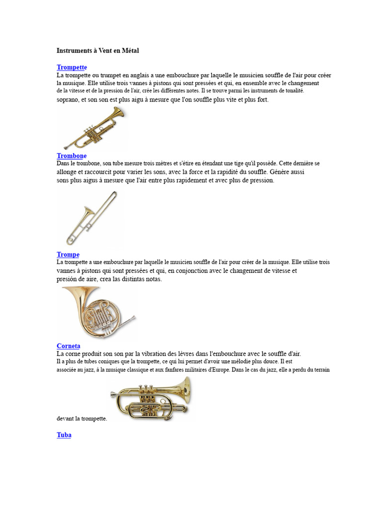 Instruments à Vent en Métal : Guide Complet | PDF | Tuba (instrument ...