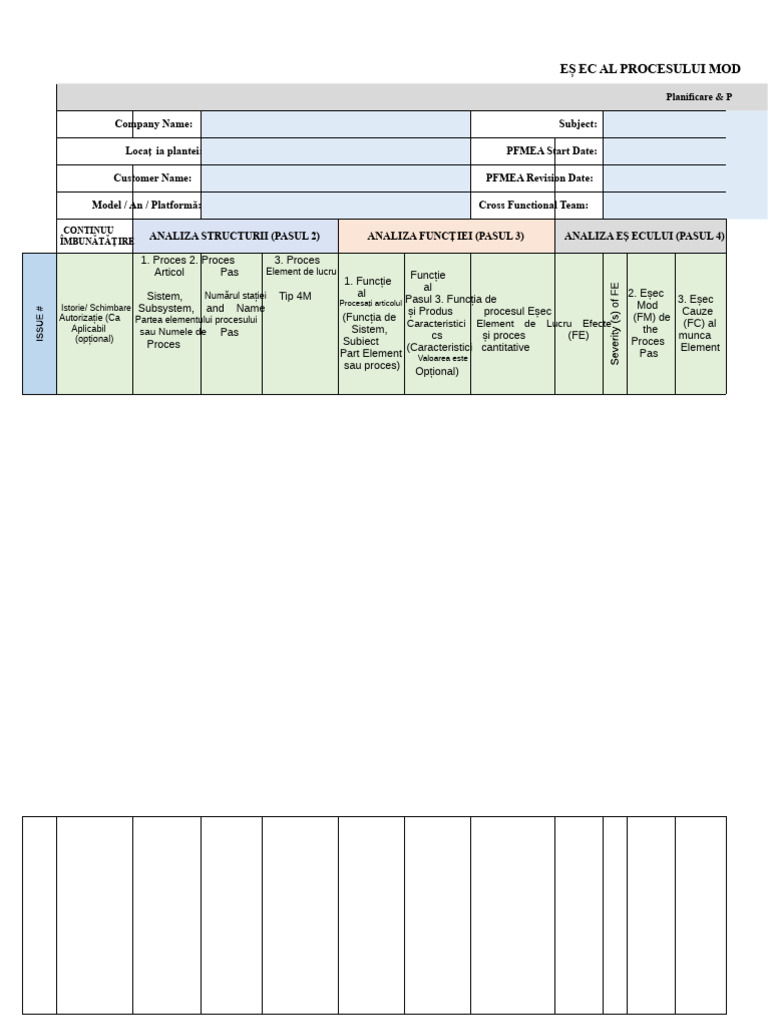 Format AIAG VDA FMEA | PDF