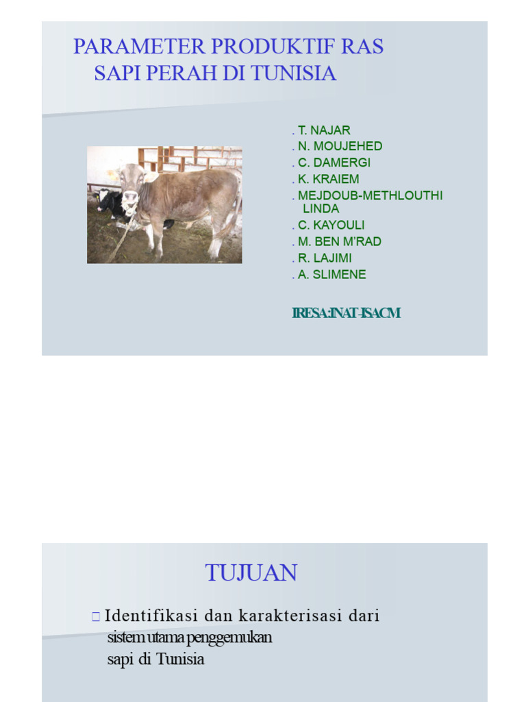 Parameter Produktif Sapi Perah Tunisia | PDF