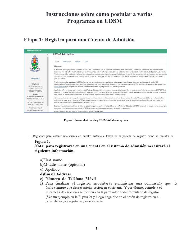 Guía para Postular a Programas UDSM | PDF