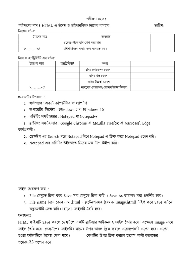 Ict Practical | PDF