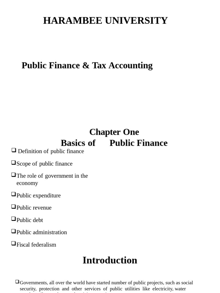 Fundamentals of Public Finance Explained | PDF | Public Finance | Taxes