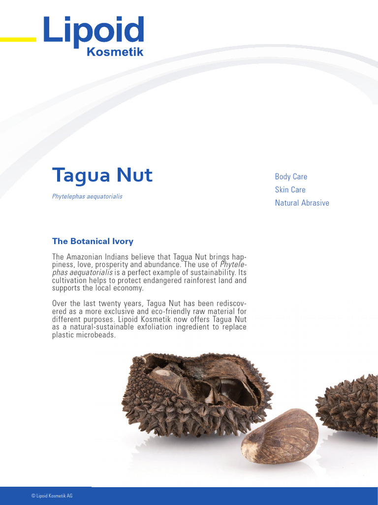 Lipoid Kosmetil - Tagua Nut Powder | PDF | Plastic | Natural Environment