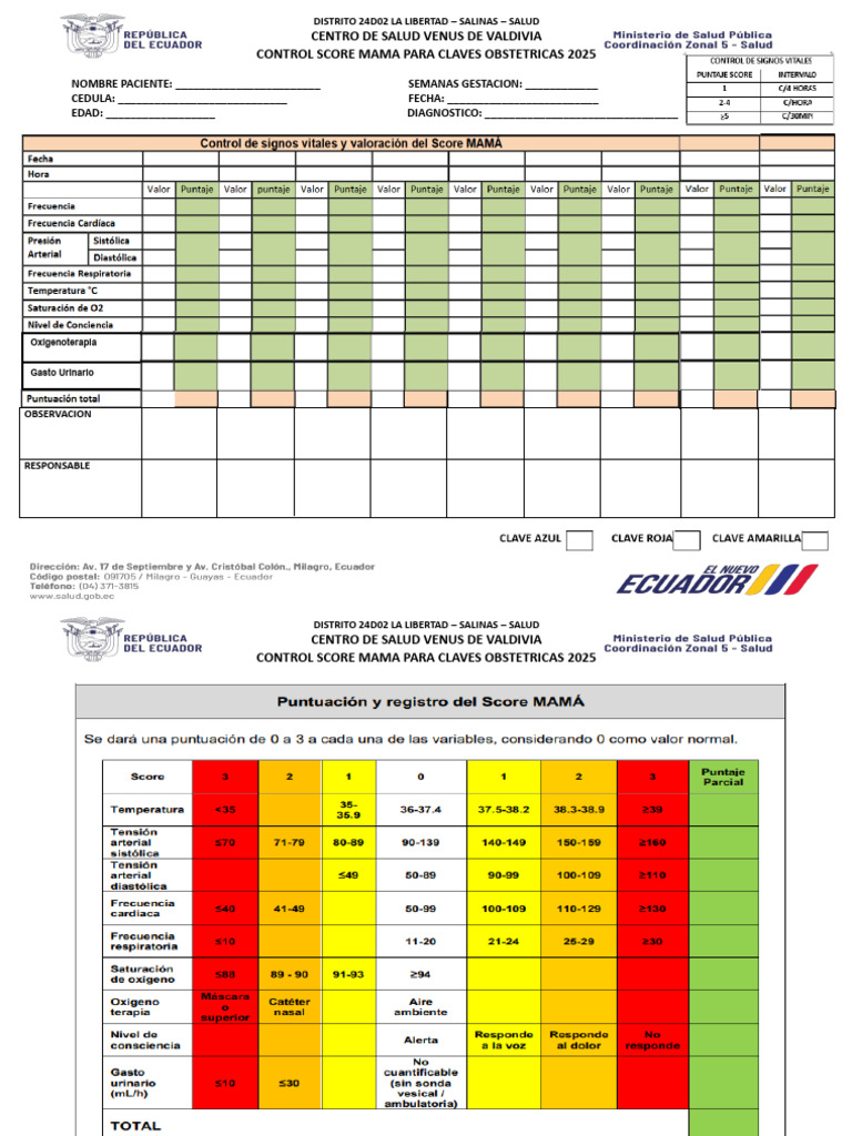 Control Score Mamá 2025 - Salinas | PDF