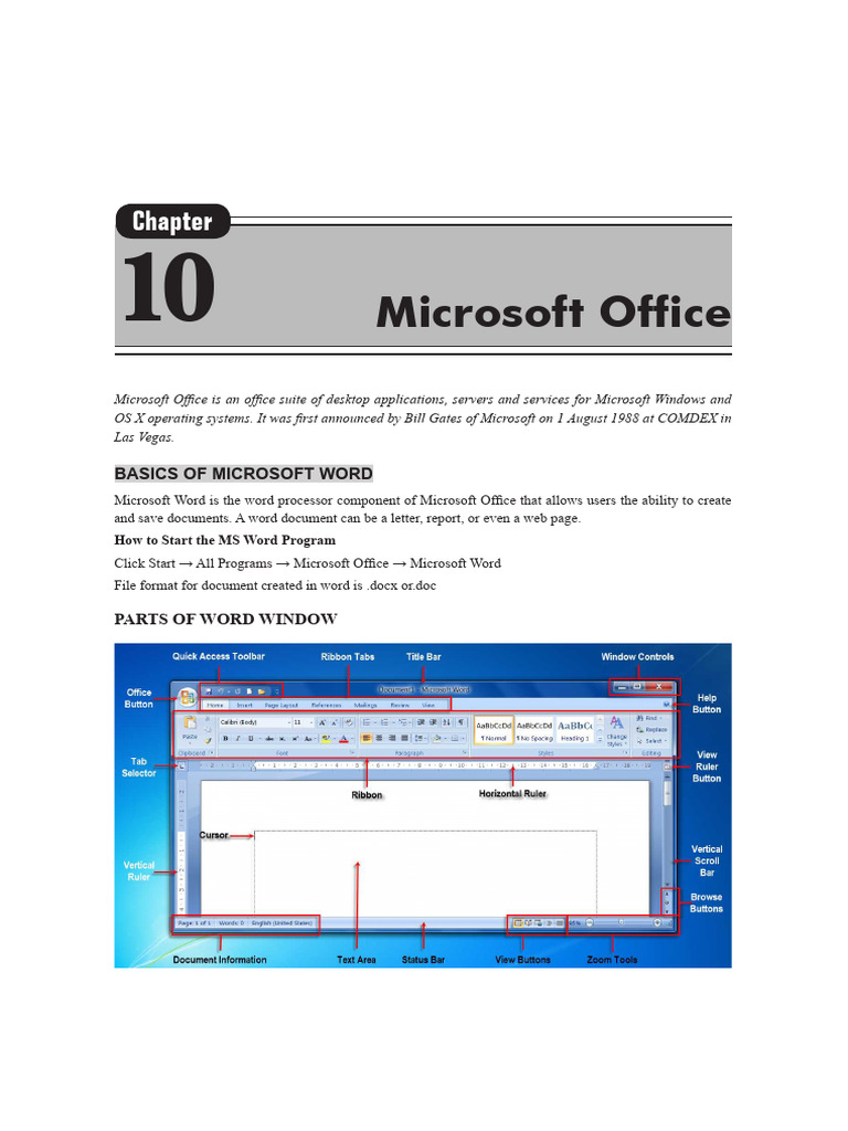 Microsoft Office | PDF | Microsoft Excel | Spreadsheet