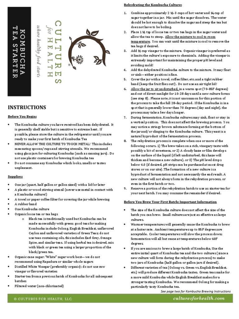 Kombucha Tea Instructions | PDF | Tea | Brewing