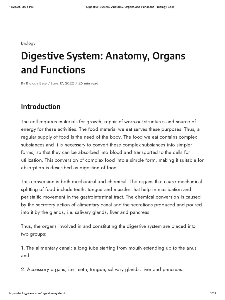 Digestive System Anatomy and Functions | PDF | Stomach | Pancreas