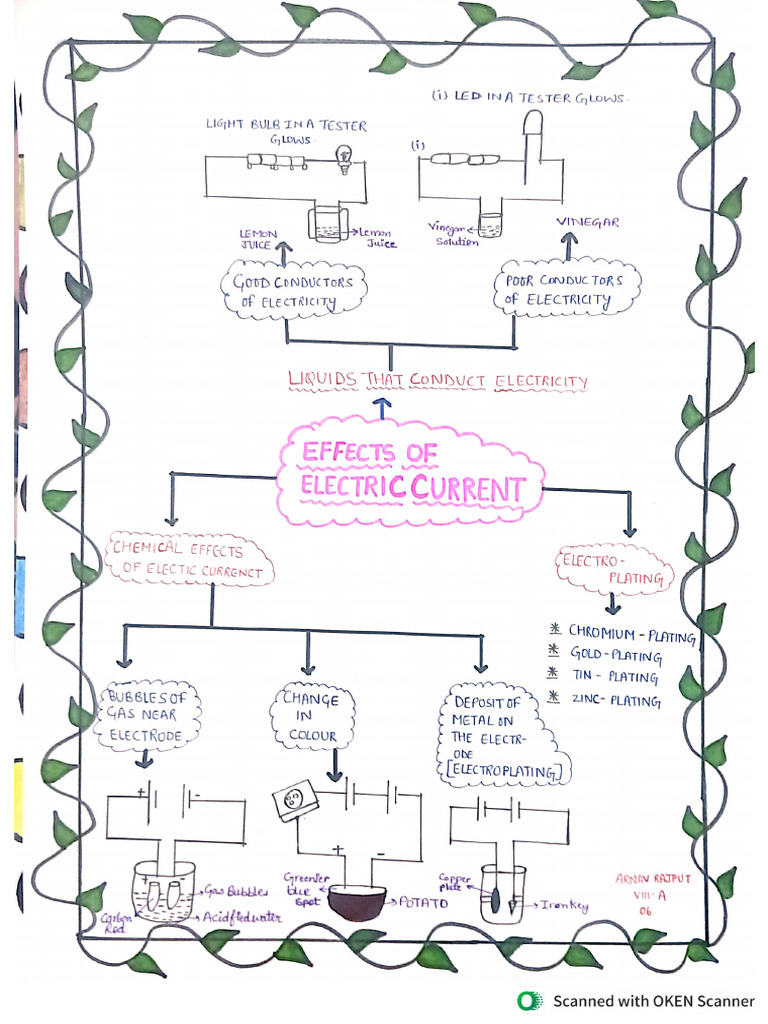Class 8 Project | PDF