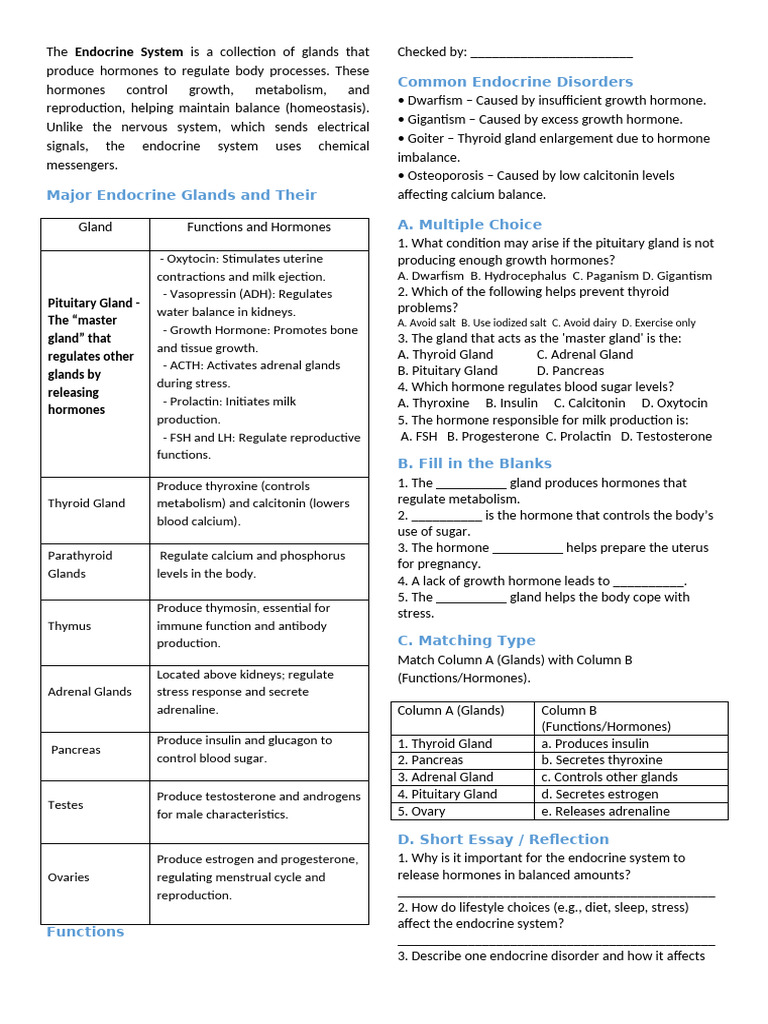 Overview of the Endocrine System | PDF | Endocrine System | Hormone