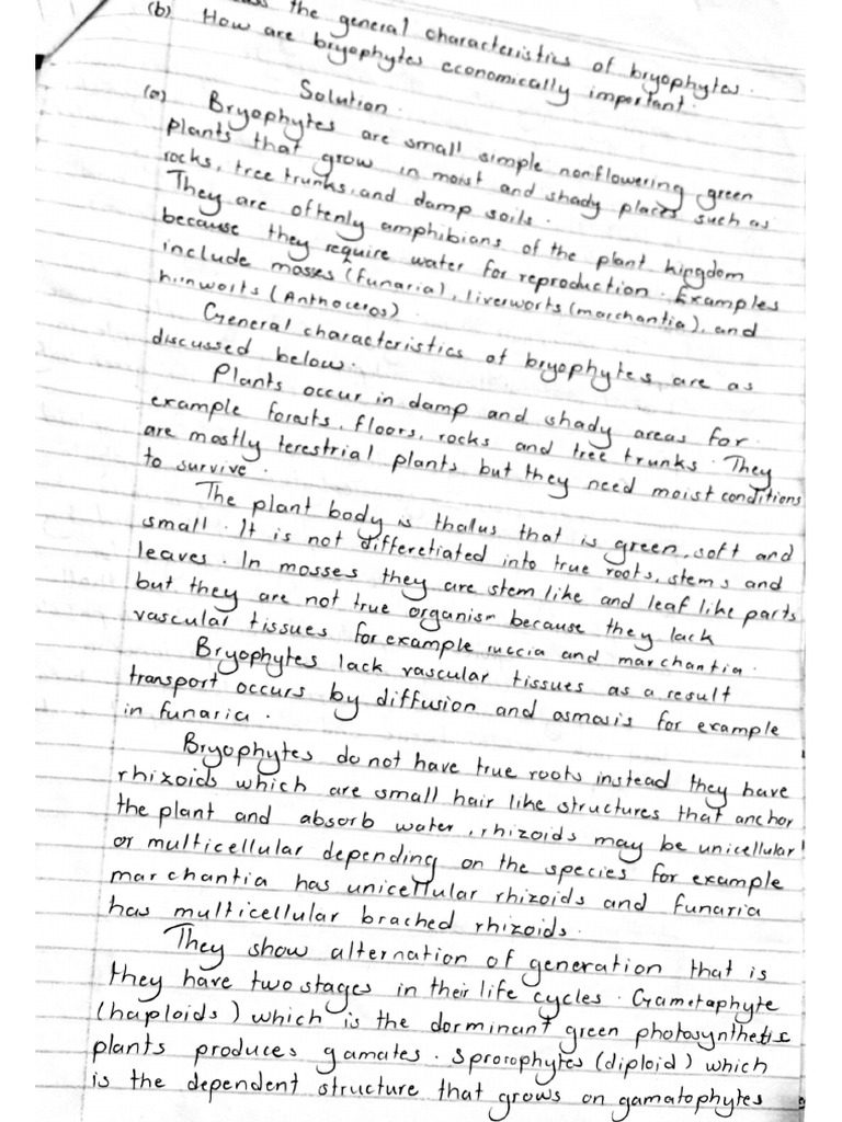 Document 7 | PDF