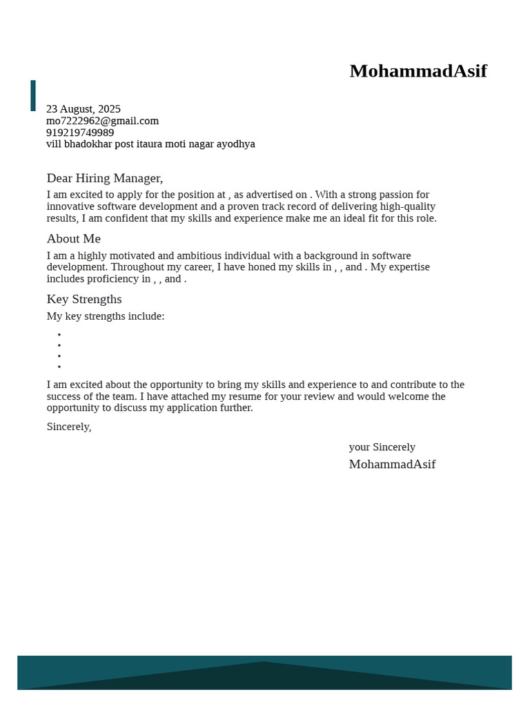 Software Developer Job Application | PDF
