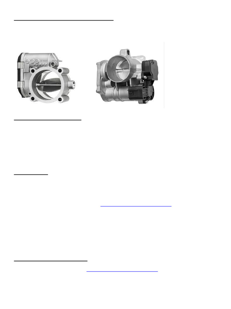 TxW Throttle by Wire Controller Guide | PDF | Throttle | Vehicle Technology