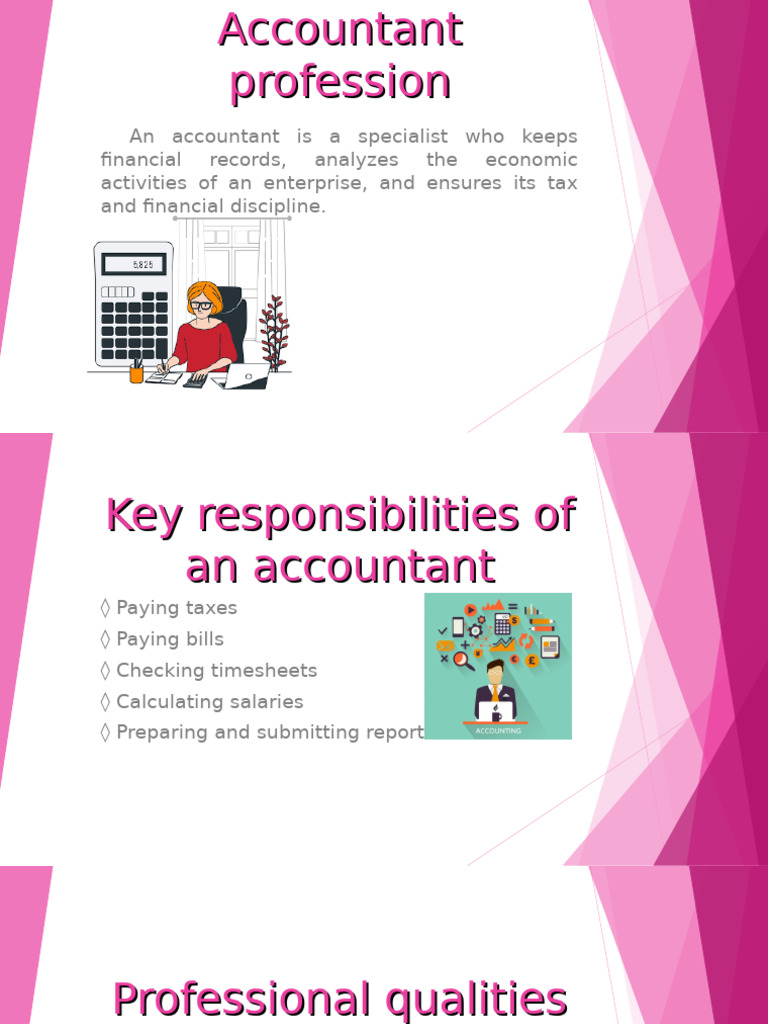 Accountant Profession | PDF