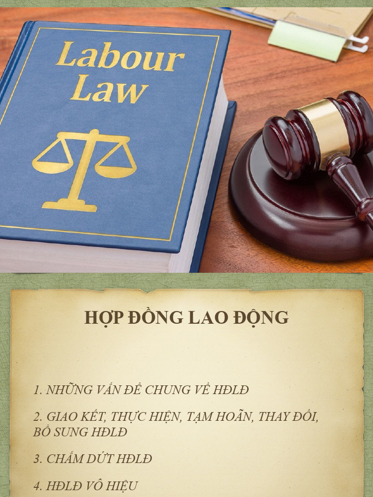 HDLD | PDF