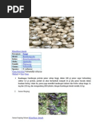 Download Jamur Merang by Alvin Farhan SN95658382 doc pdf