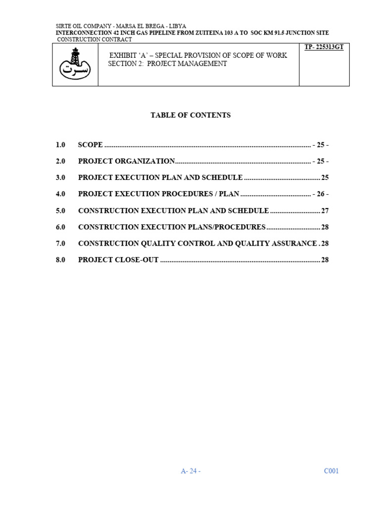 08. Project Management | PDF