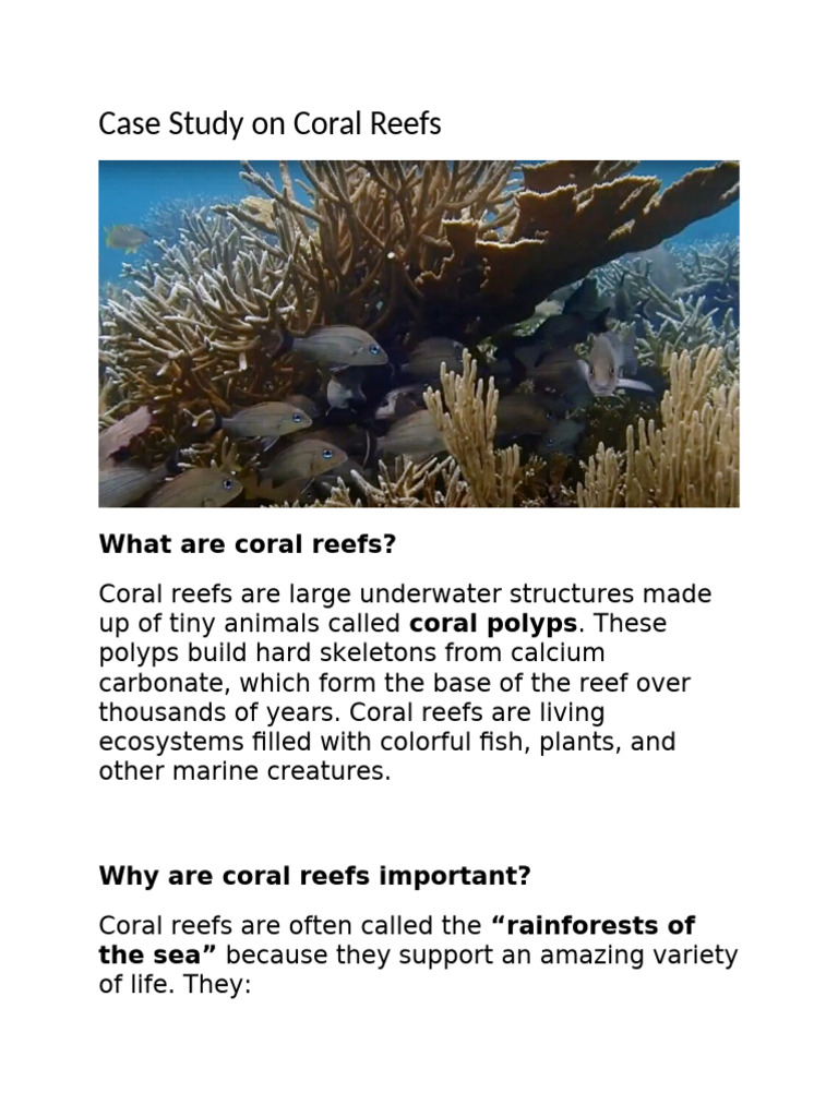 Importance and Protection of Coral Reefs | PDF