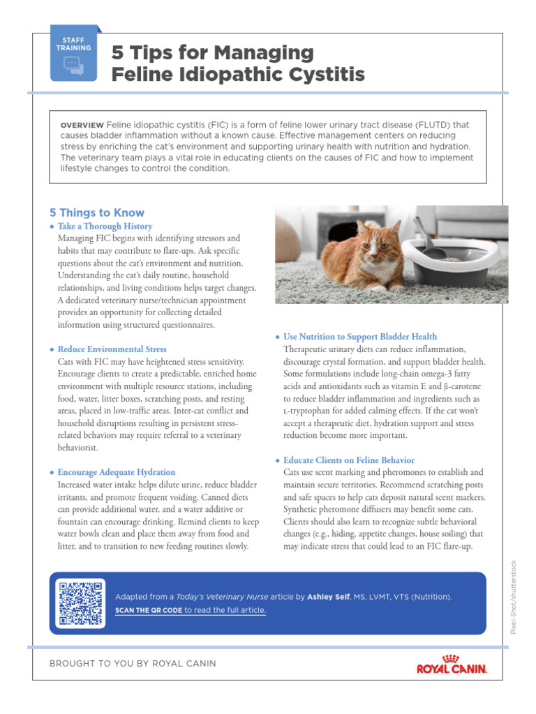 Picture of Managing Feline Idiopathic Cystitis Tips | PDF