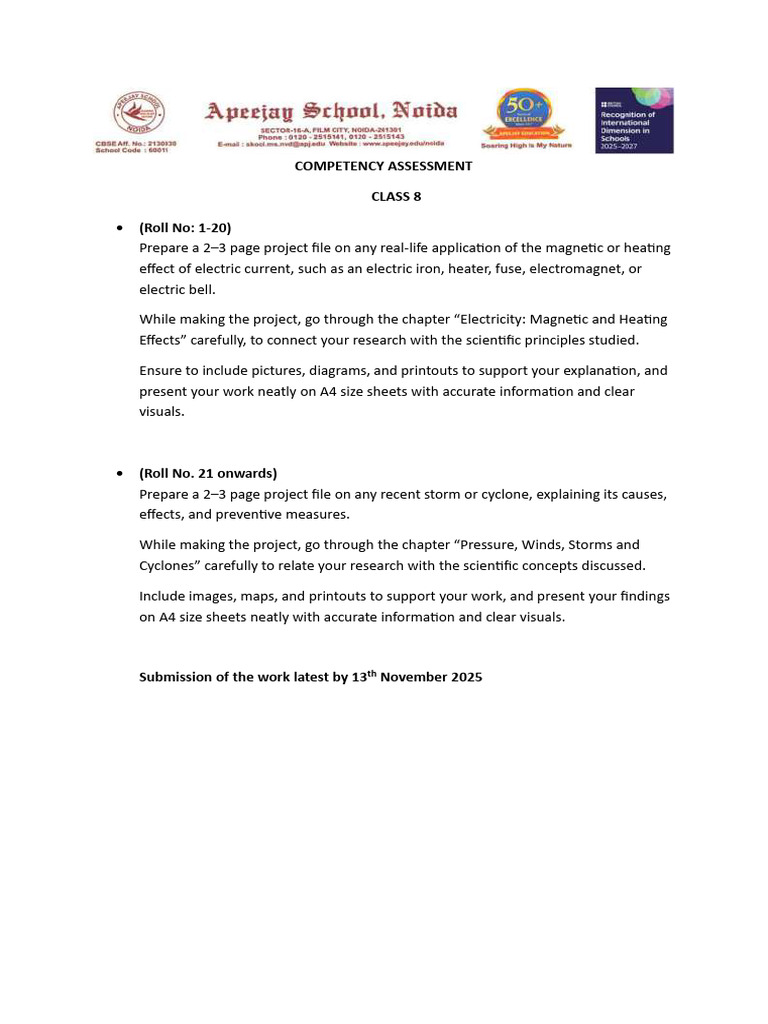Class 8 Project Guidelines: Electricity & Storms | PDF
