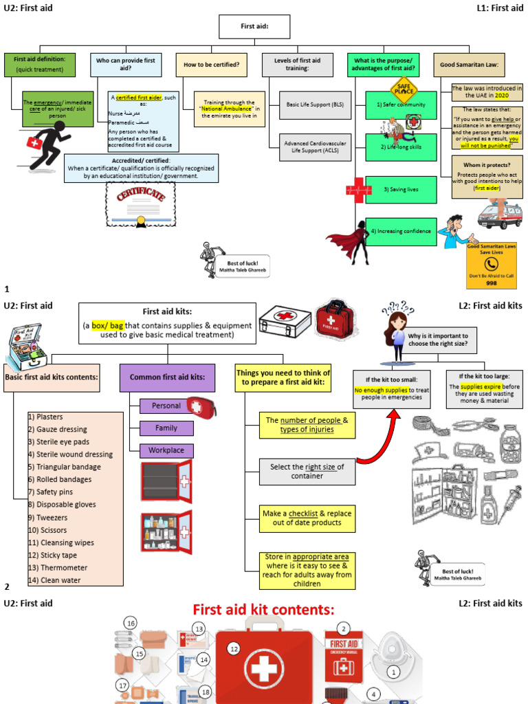 Essential First Aid Training Guide | PDF | Artery | First Aid