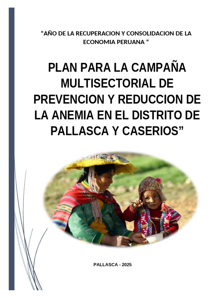 Plan para La Campaña de Reduccion y Prevencion de Anemia 2025 | PDF ...