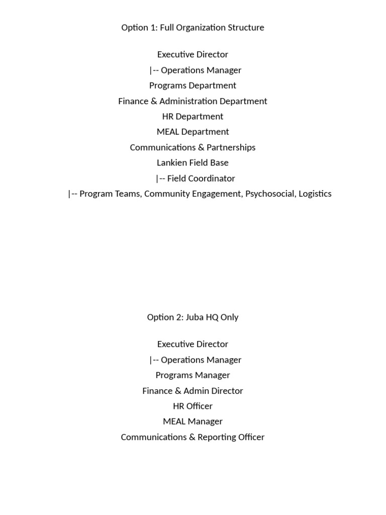 Organizational Structure Overview | PDF