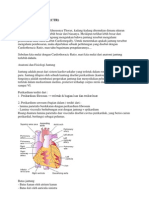 Cardiothoracic Ratio