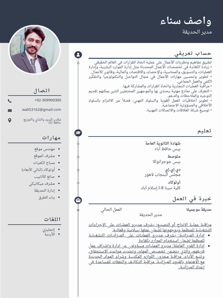 Wasif CV A | PDF