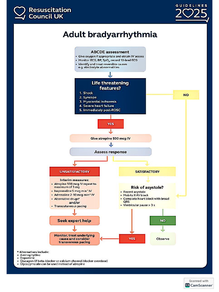 BLS ResusCouncilUK 2025 | PDF