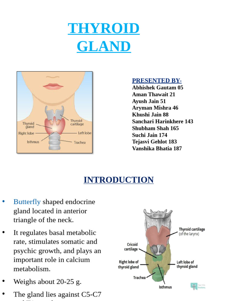 Anatomy and Functions of Thyroid Gland | PDF | Thyroid | Hyperthyroidism