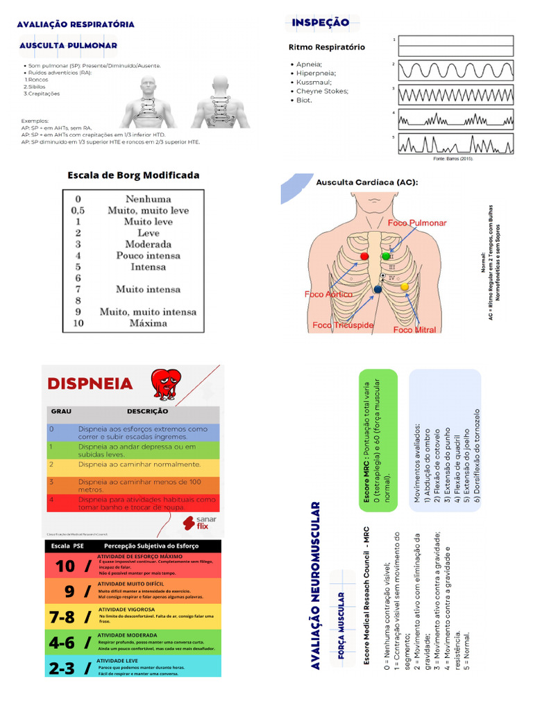 Card 2 | PDF