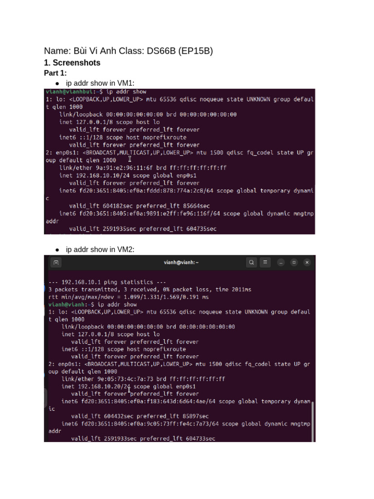 Computer Network Lab 3 | PDF