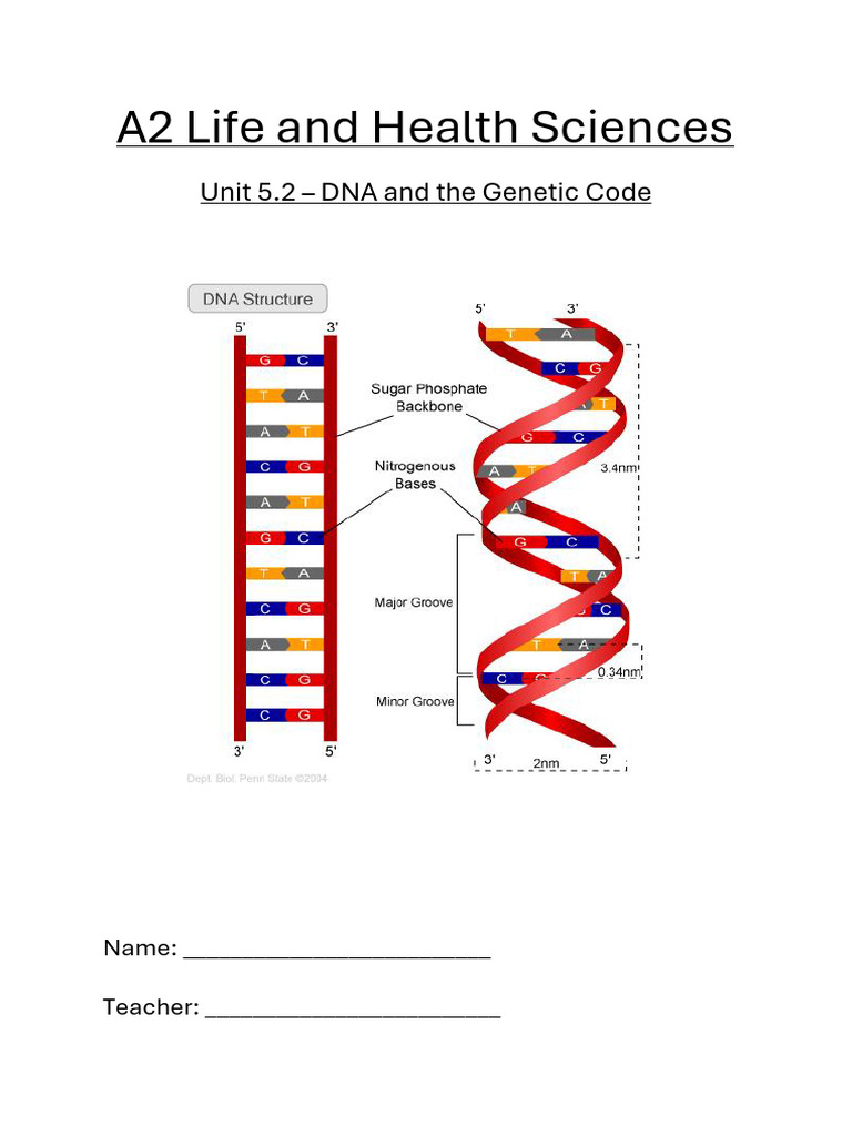 5.2 DNA and The Genetic Code PUPIL | PDF | Dna | Ribosome