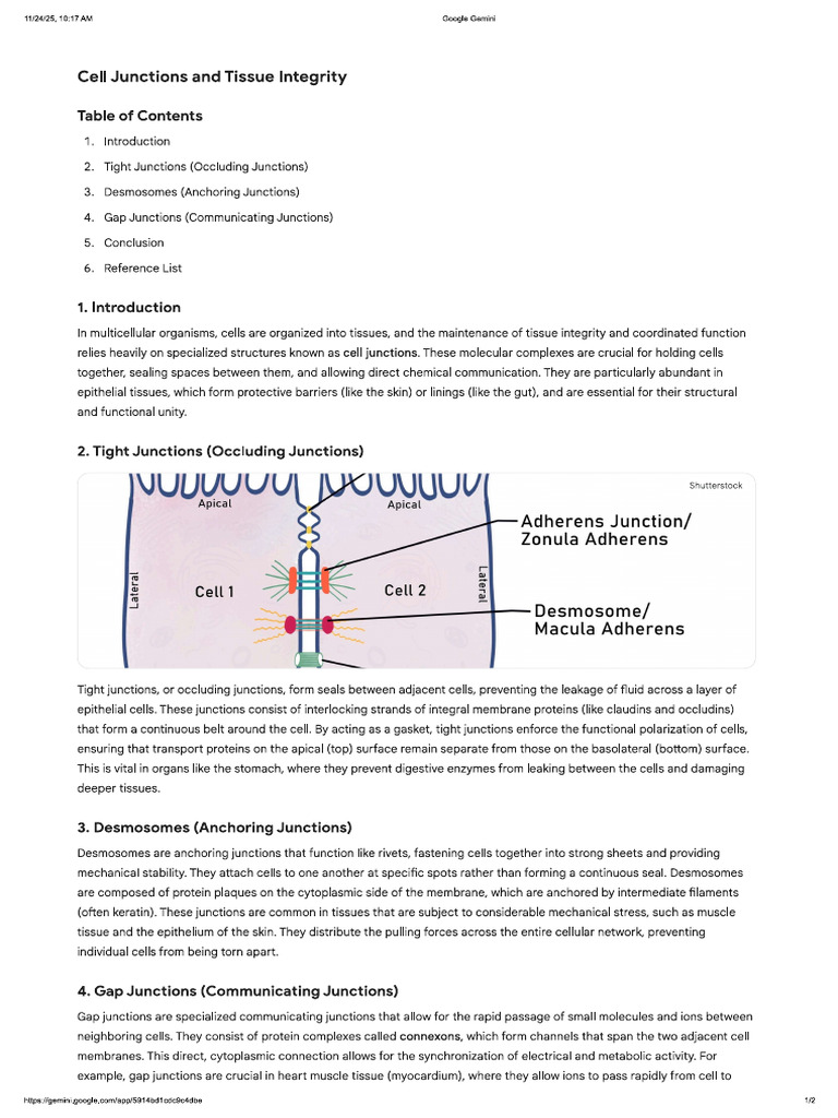 Cell Junctions and Tissue Integrity | PDF