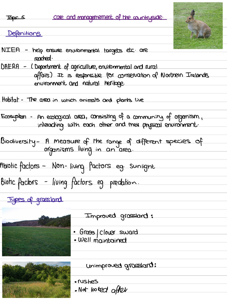 Care & Management of The Countryside | PDF