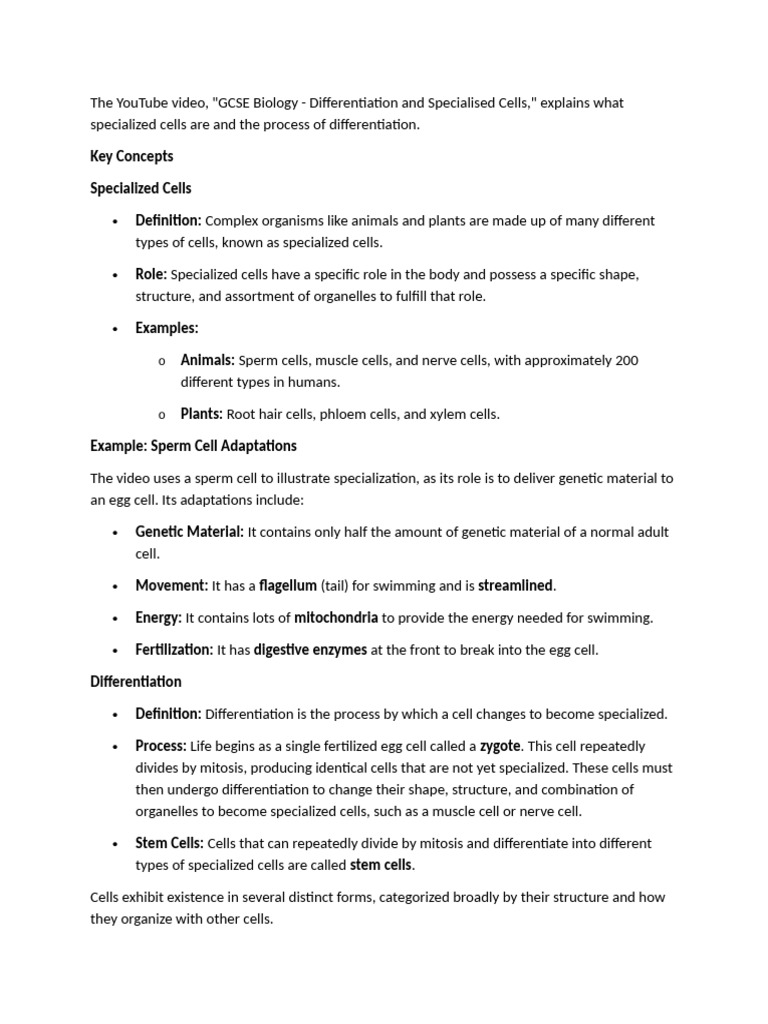 Differentiation and Specialized Cells Explained | PDF | Cell (Biology ...