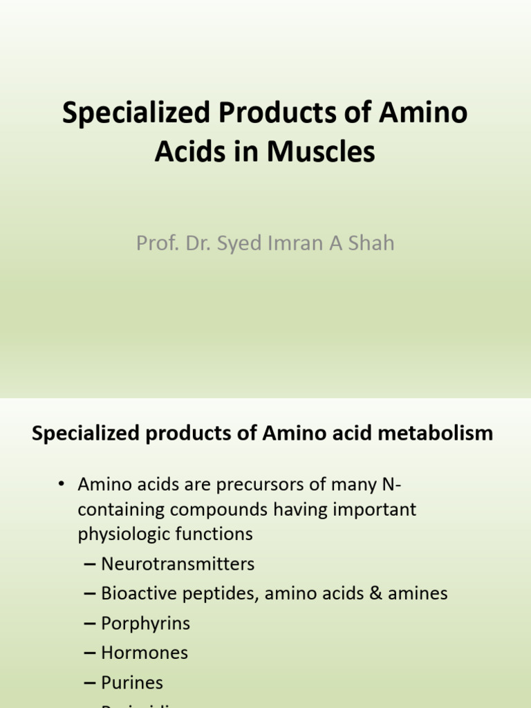Amino Acids and Muscle Metabolism Insights | PDF | Creatinine ...