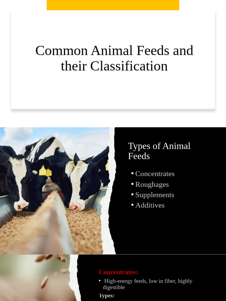 L-4 Animal Feed and Their Clasiification | PDF | Animal Feed | Dietary Fiber