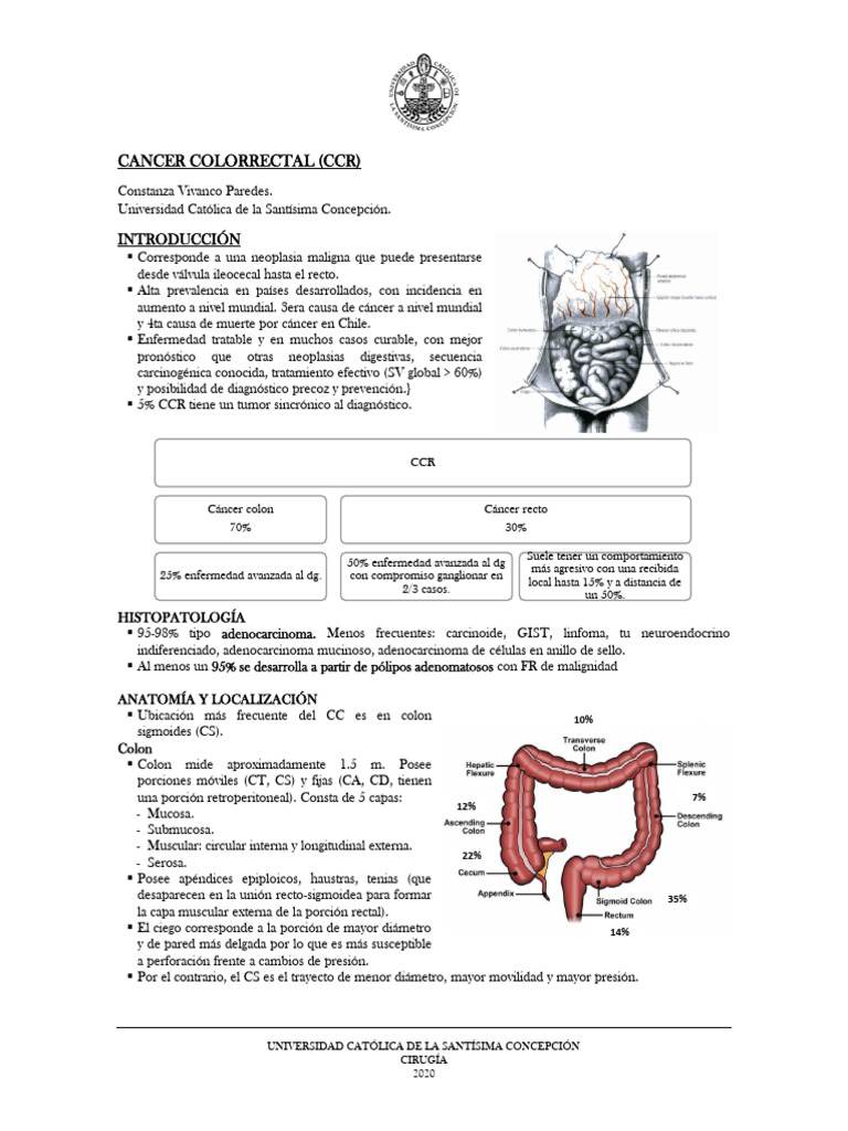 Cancer Colorrectal (CCR) : Introducción | PDF | Cáncer colonrectal | Cáncer