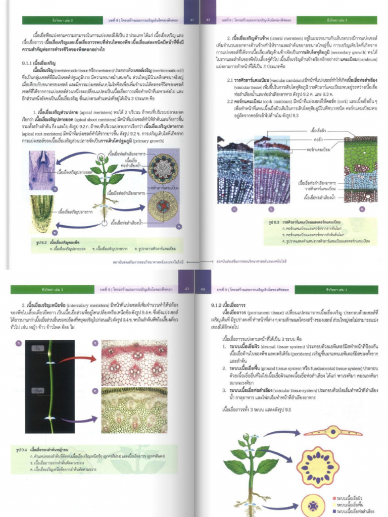 Bio | PDF