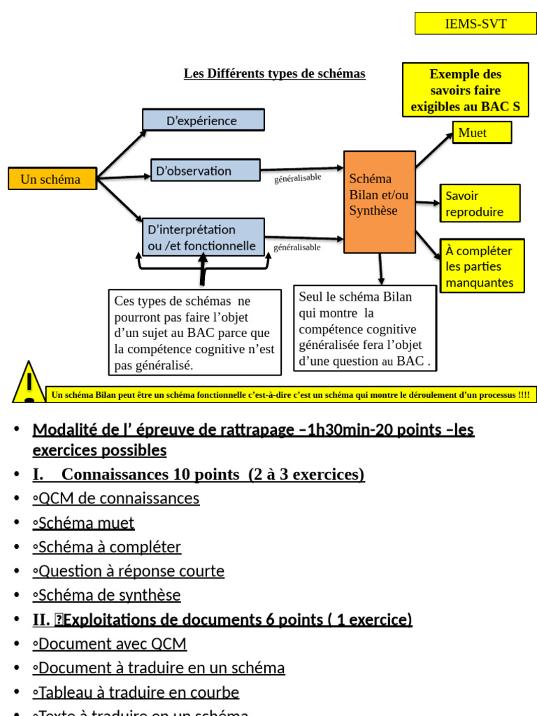 Types de schémas pour le BAC SVT | PDF | Système immunitaire | Ploïdie