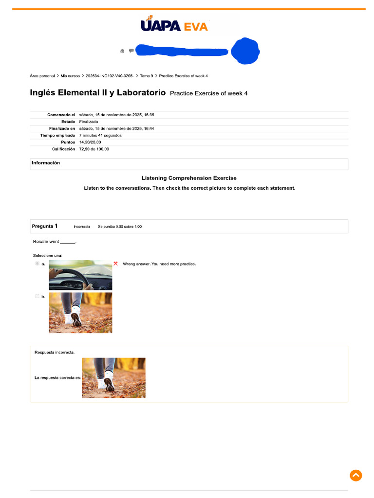 Inglés Elemental II y Laboratorio - Practice Exercise of Week 4 | PDF