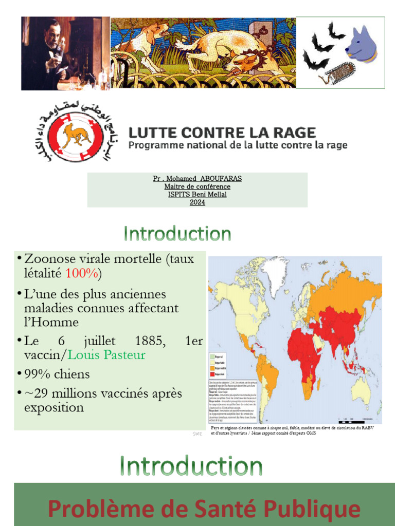 Comprendre la rage : prévention et traitement | PDF | Rage (maladie ...