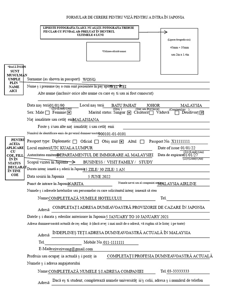Formular de Cerere Pentru Viză (Exemplu) | PDF