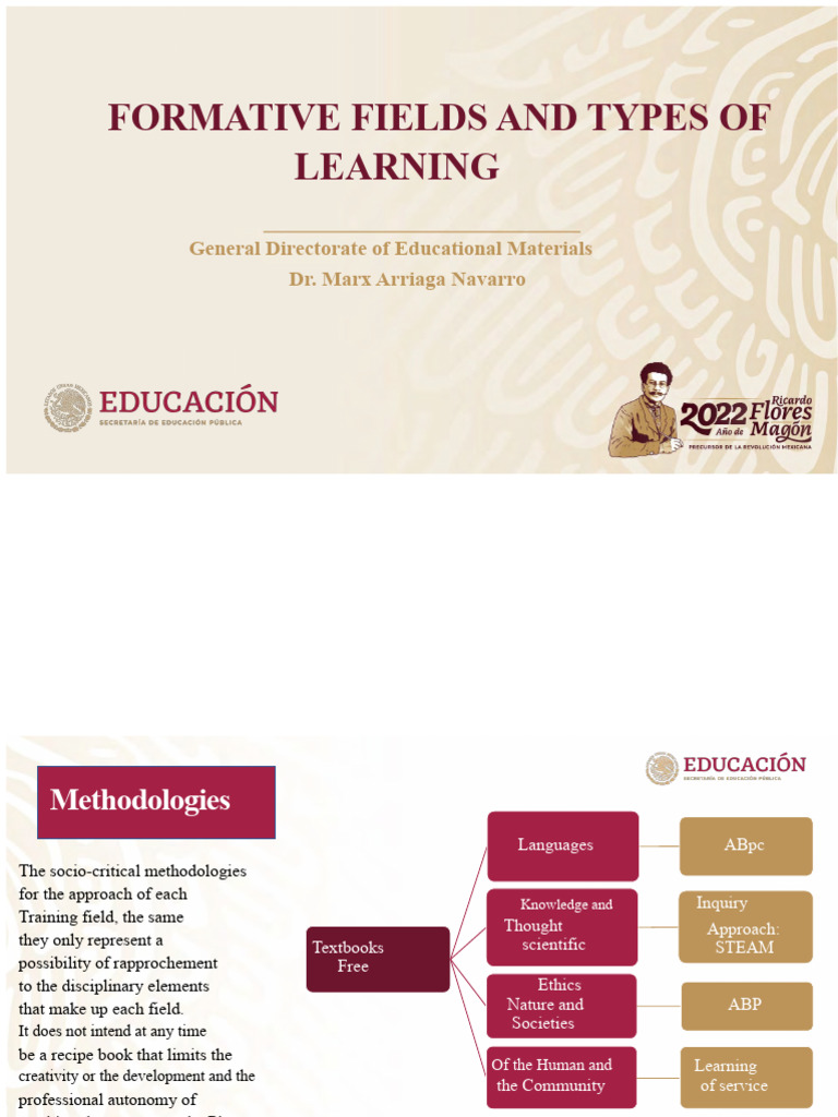 Formative Fields in Learning Methodologies | PDF | Methodology | Experience