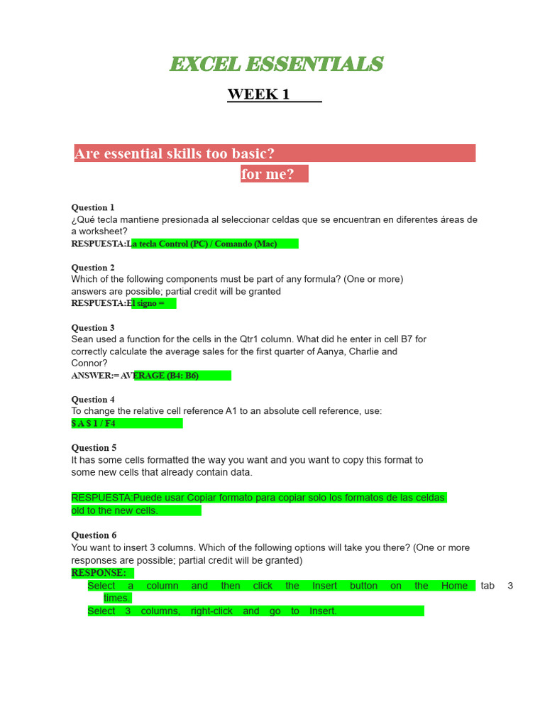 Excel Essentials: Key Skills & Functions | PDF | Microsoft Excel ...
