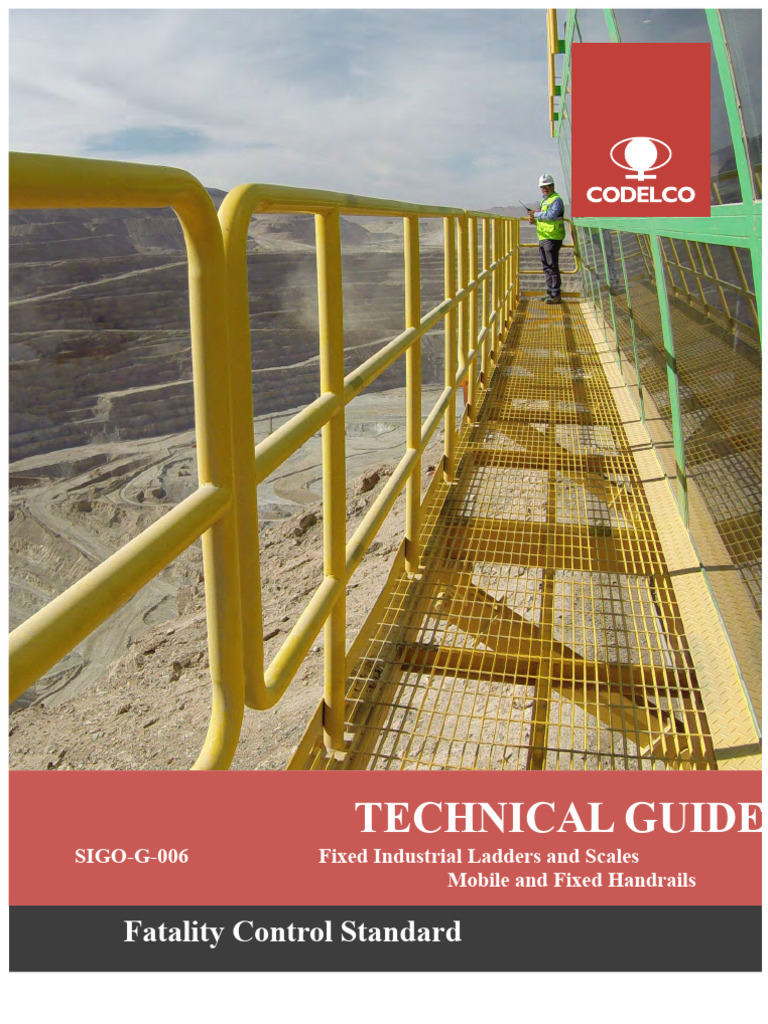 Industrial Ladder and Railing Safety Guide | PDF | Stairs